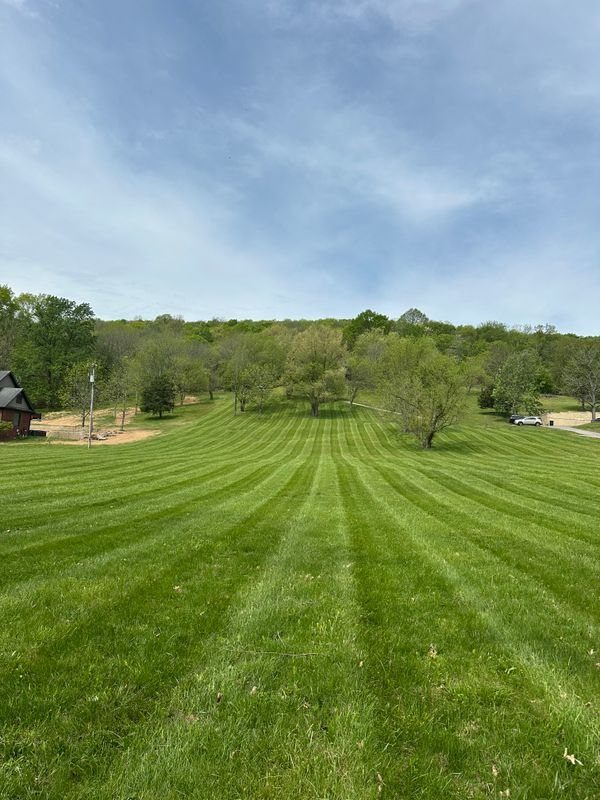 Sweeping lawn with fresh mower stripes